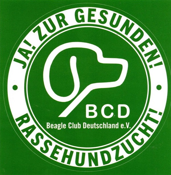 /bcd-rassehundezucht24.jpg