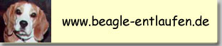 beagle-entlaufen_banner