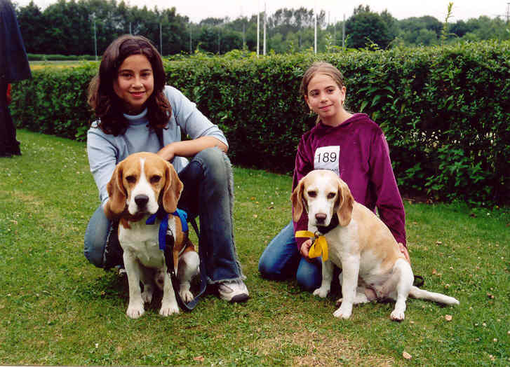 beaglerennen1