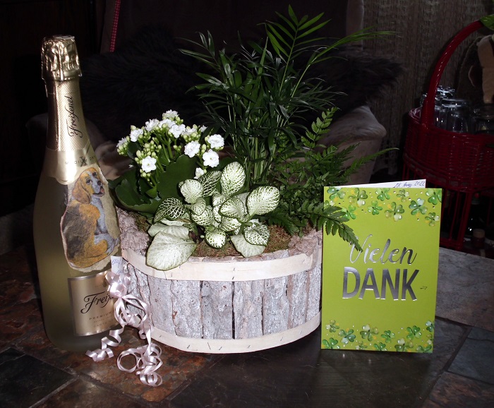 geschenk_udina0109221.JPG