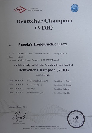 onyx_vdhchamp_urkunde0616