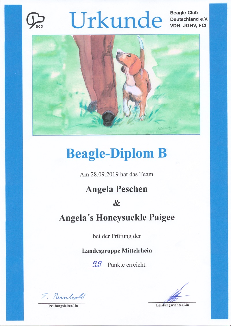 paigee_beaglediplom19-urkunde.jpg